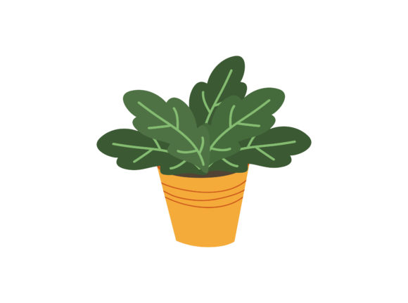 Download Spring Green Leaf Plant Vector - Plant Collection