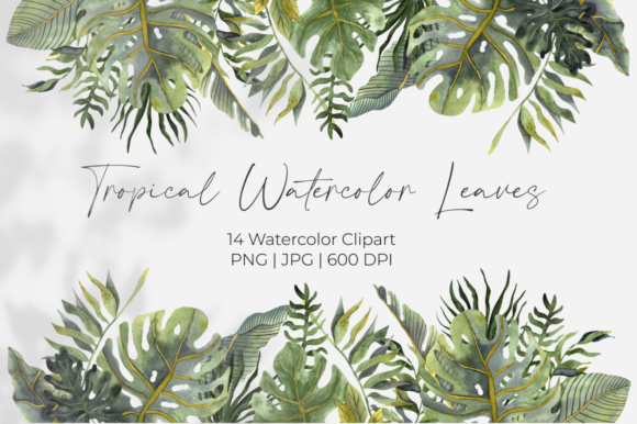 Download Tropical Watercolor Leaves Clipart - Premium Resources