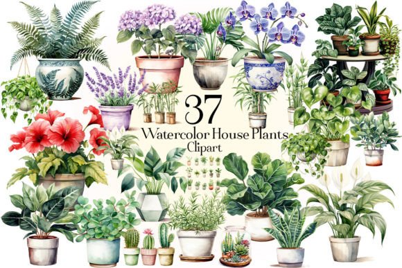 Download Watercolor House Plants Clipart - Plant Collection