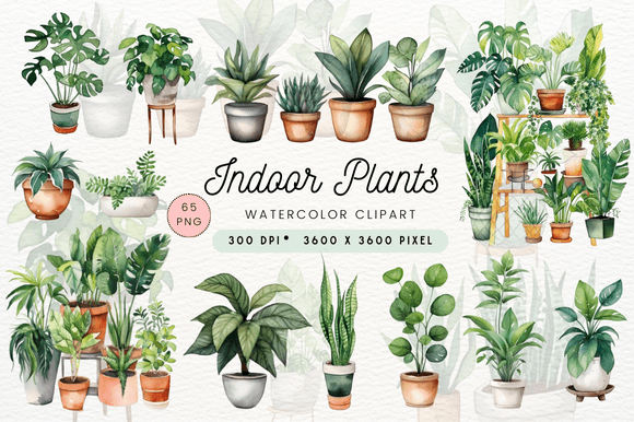 Download Watercolor Indoor Plants Clipart - Plant Collection