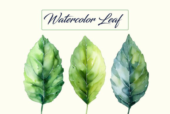 Download 3 Watercolor Leaves Bundle - Premium Resources