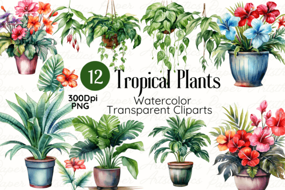 Download Watercolor Tropical Plants Cliparts - Plant Collection