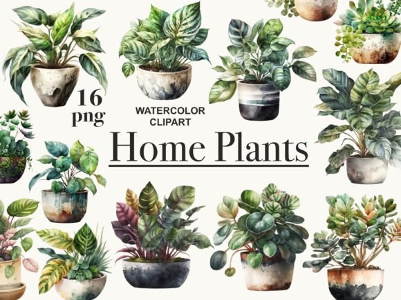 Download House Plants Clipart, Potted Plants Png - Plant Collection
