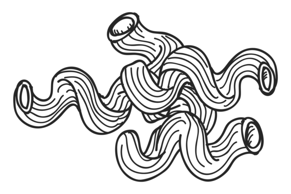 Download Pasta Line Icon. Fusilli Rigati in Hand - Fusilli Collection